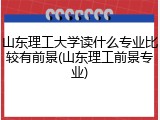 山东理工大学读什么专业比较有前景(山东理工前景专业)