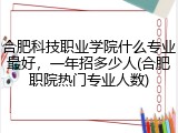 合肥科技职业学院什么专业最好，一年招多少人(合肥职院热门专业人数)