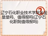 辽宁石化职业技术学院含金量量吗，值得报吗(辽宁石化职院值得报吗)