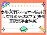 贵州护理职业技术学院共开设有哪些类型奖学金(贵州职院奖学金种类)