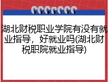 湖北财税职业学院有没有就业指导，好就业吗(湖北财税职院就业指导)