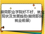 徽商职业学院好不好，就业现状及发展趋势(徽商职院就业前景)