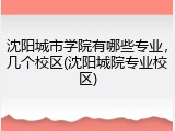 沈阳城市学院有哪些专业，几个校区(沈阳城院专业校区)