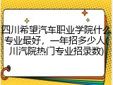 四川希望汽车职业学院什么专业最好，一年招多少人(川汽院热门专业招录数)