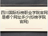 四川国际标榜职业学院官网是哪个网址多少(标榜学院官网)