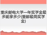重庆邮电大学一年奖学金最多能拿多少(重邮最高奖学金)