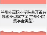 兰州外语职业学院共开设有哪些类型奖学金(兰州外院奖学金类型)