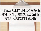 青海柴达木职业技术学院有多少学生，师资力量如何(柴达木职院师生规模)