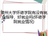 常州大学怀德学院有没有就业指导，好就业吗(怀德学院就业情况)