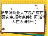 哈尔滨商业大学是否有在职研究生,报考条件如何(哈商大在职研条件)