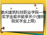 重庆建筑科技职业学院一年奖学金最多能拿多少(重科院奖学金上限)