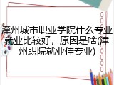 漳州城市职业学院什么专业就业比较好，原因是啥(漳州职院就业佳专业)