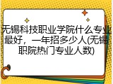 无锡科技职业学院什么专业最好，一年招多少人(无锡职院热门专业人数)