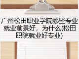 广州松田职业学院哪些专业就业前景好，为什么(松田职院就业好专业)
