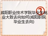 咸阳职业技术学院毕业生就业大致去向如何(咸阳职院毕业生去向)