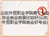 山东外贸职业学院哪个专业毕业就业前景比较好(山东外贸职业学院就业好专业)
