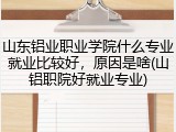 山东铝业职业学院什么专业就业比较好，原因是啥(山铝职院好就业专业)