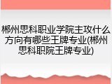 郴州思科职业学院主攻什么方向有哪些王牌专业(郴州思科职院王牌专业)