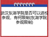 武汉东湖学院是否可以进校参观，有何限制(东湖学院参观限制)