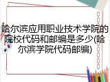 哈尔滨应用职业技术学院的院校代码和邮编是多少(哈尔滨学院代码邮编)