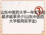 山东中医药大学一年奖学金最多能拿多少(山东中医药大学最高奖学金)
