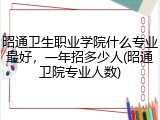 昭通卫生职业学院什么专业最好，一年招多少人(昭通卫院专业人数)