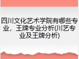 四川文化艺术学院有哪些专业，王牌专业分析(川艺专业及王牌分析)