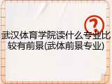 武汉体育学院读什么专业比较有前景(武体前景专业)