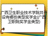 广西卫生职业技术学院共开设有哪些类型奖学金(广西卫职院奖学金类型)