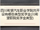 四川希望汽车职业学院共开设有哪些类型奖学金(川希望职院奖学金类型)