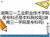 湖南三一工业职业技术学院是专科还是本科院校呢(湖南三一学院是专科吗)