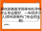 郑州澍青医学高等专科学校什么专业最好，一年招多少人(郑州澍青热门专业招生数)