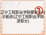 辽宁工程职业学院要多少分才能进(辽宁工程职业学院录取分)