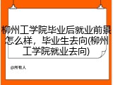 柳州工学院毕业后就业前景怎么样，毕业生去向(柳州工学院就业去向)