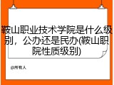 鞍山职业技术学院是什么级别，公办还是民办(鞍山职院性质级别)
