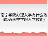 南宁学院办理入学有什么攻略没(南宁学院入学攻略)