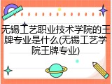 无锡工艺职业技术学院的王牌专业是什么(无锡工艺学院王牌专业)