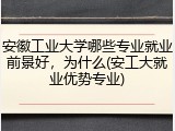 安徽工业大学哪些专业就业前景好，为什么(安工大就业优势专业)