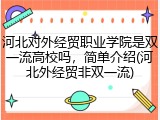 河北对外经贸职业学院是双一流高校吗，简单介绍(河北外经贸非双一流)