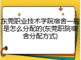 东莞职业技术学院宿舍一般是怎么分配的(东莞职院宿舍分配方式)