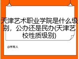 天津艺术职业学院是什么级别，公办还是民办(天津艺校性质级别)