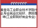 秦皇岛工业职业技术学院什么专业就业比较好，原因是啥(工业职院好就业专业)
