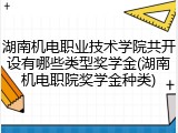 湖南机电职业技术学院共开设有哪些类型奖学金(湖南机电职院奖学金种类)