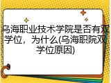 乌海职业技术学院是否有双学位，为什么(乌海职院双学位原因)