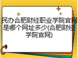 民办合肥财经职业学院官网是哪个网址多少(合肥财经学院官网)