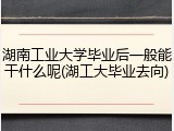 湖南工业大学毕业后一般能干什么呢(湖工大毕业去向)