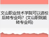 文山职业技术学院可以进校后转专业吗？(文山职院能转专业吗)