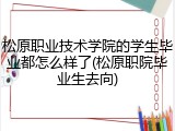 松原职业技术学院的学生毕业都怎么样了(松原职院毕业生去向)