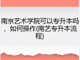 南京艺术学院可以专升本吗，如何操作(南艺专升本流程)