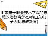 山东电子职业技术学院的思想政治教育怎么样(山东电子职院思政教育)